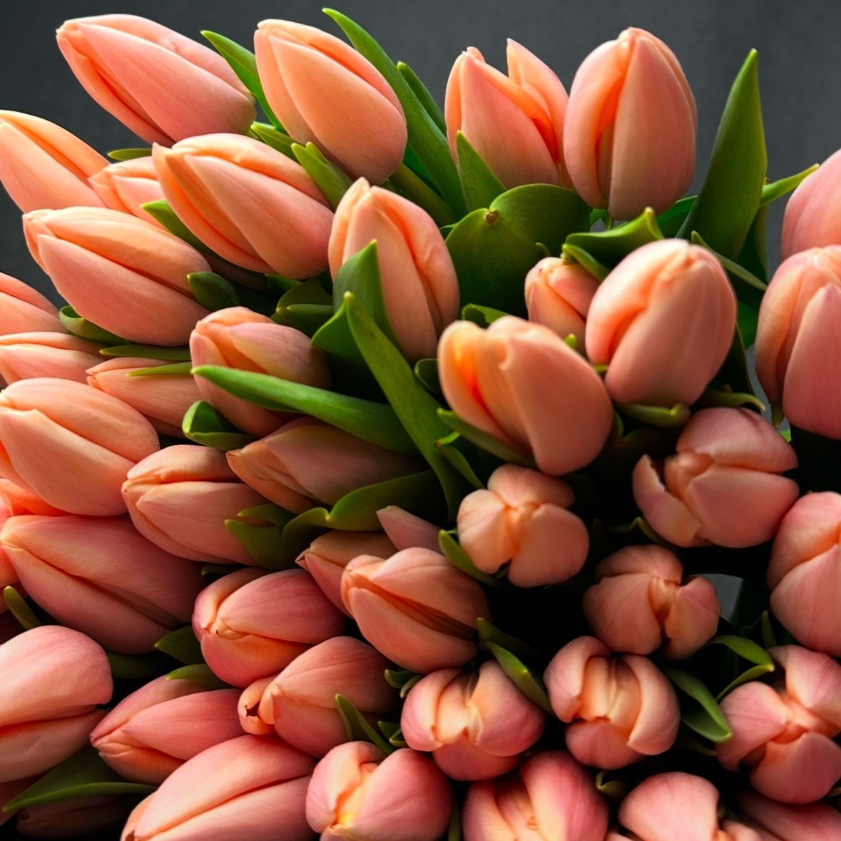 Тюльпаны предзаказ к 8 марта гладкие