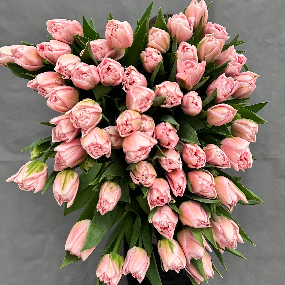 Тюльпаны предзаказ к 8 марта пионовидные