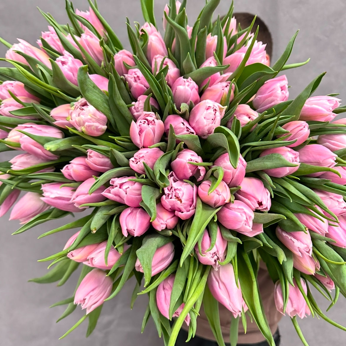 Тюльпаны пионовидные