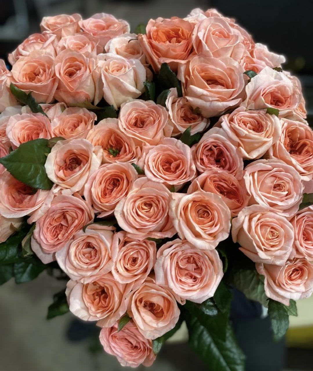 Роза одноголовая пионовидная