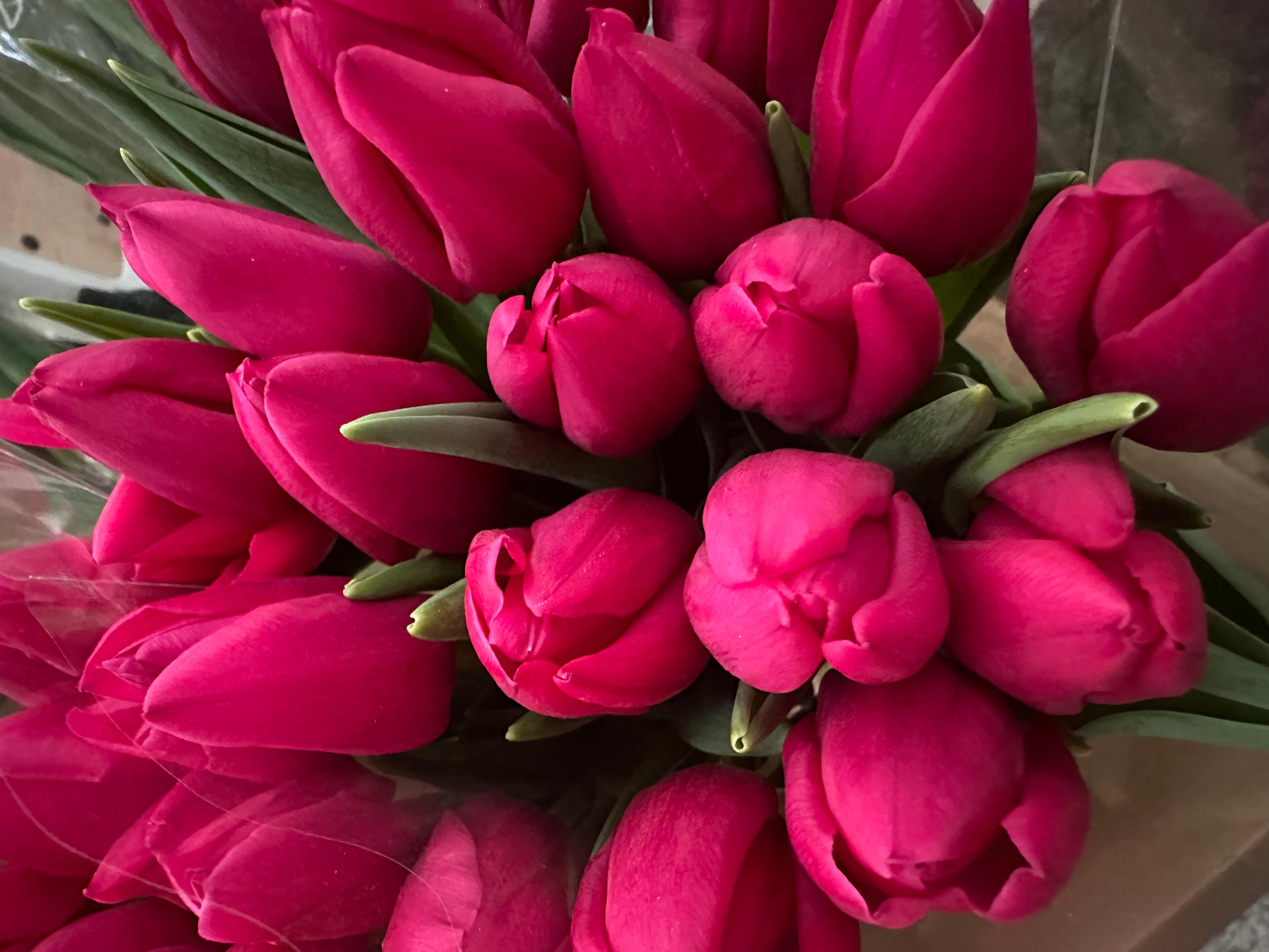 Тюльпаны гладкие предзаказ