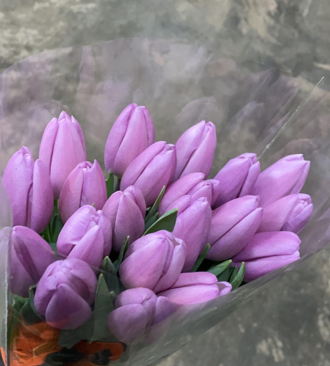 Тюльпаны гладкие предзаказ