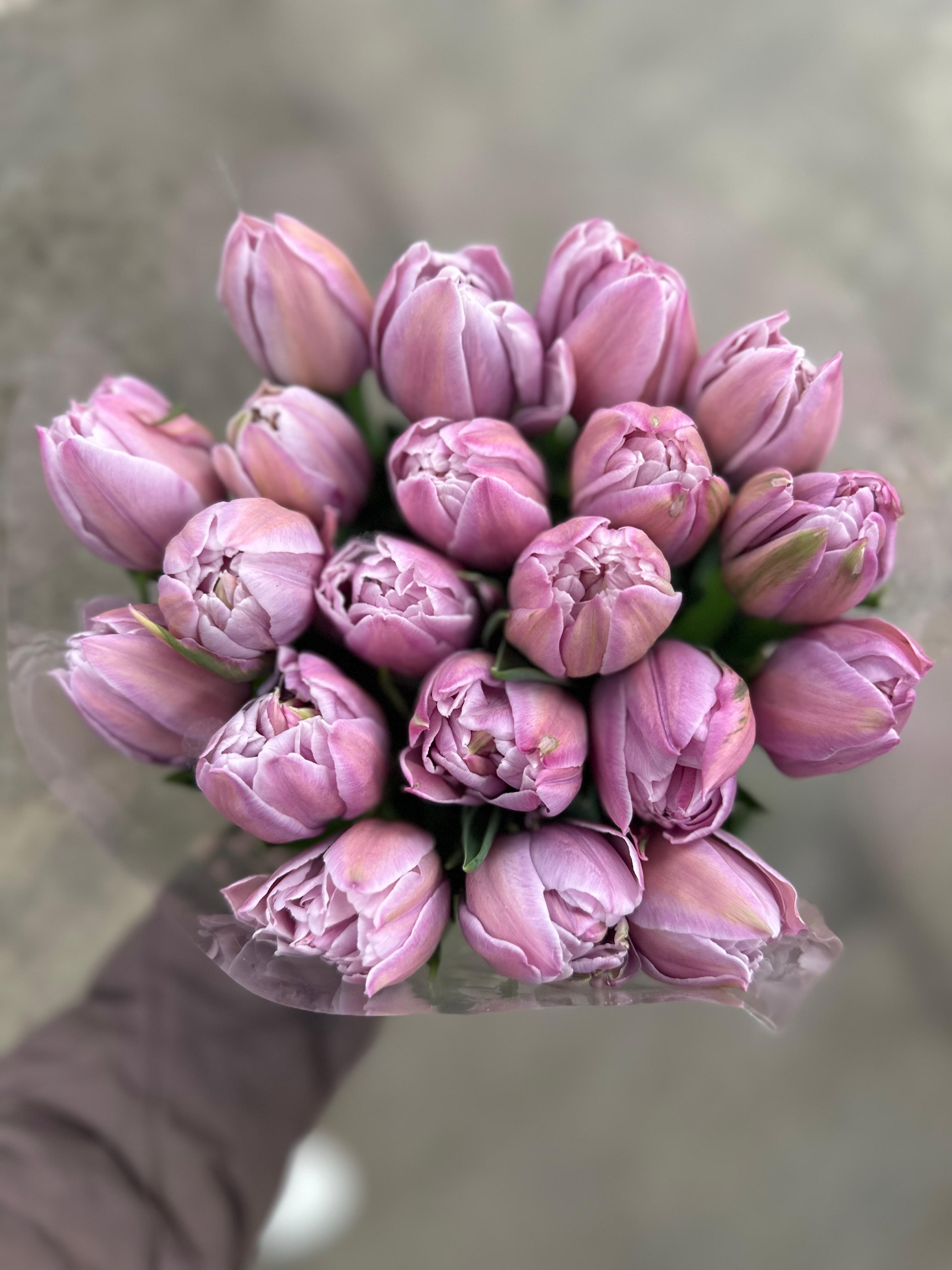 Тюльпаны пионовидные предзаказ