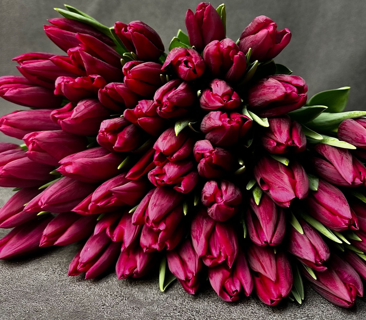 Тюльпаны гладкие