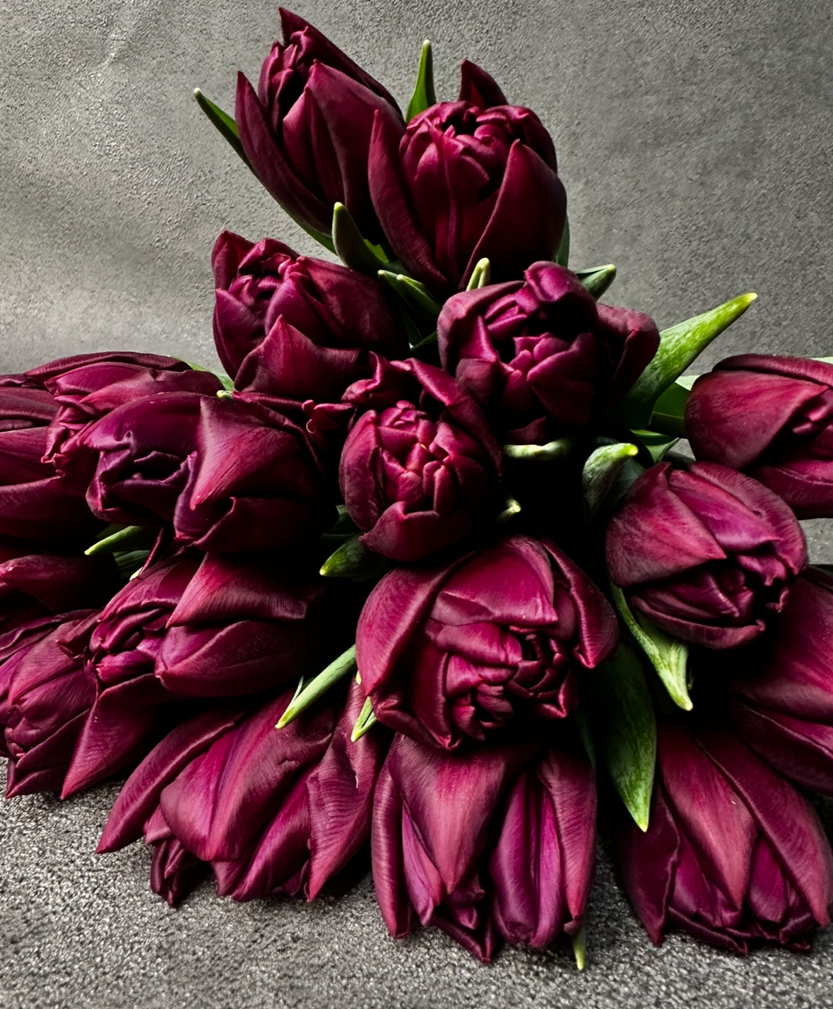 Тюльпаны пионовидные