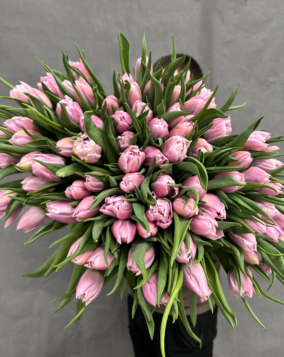 Тюльпаны пионовидные Мастер Прайс