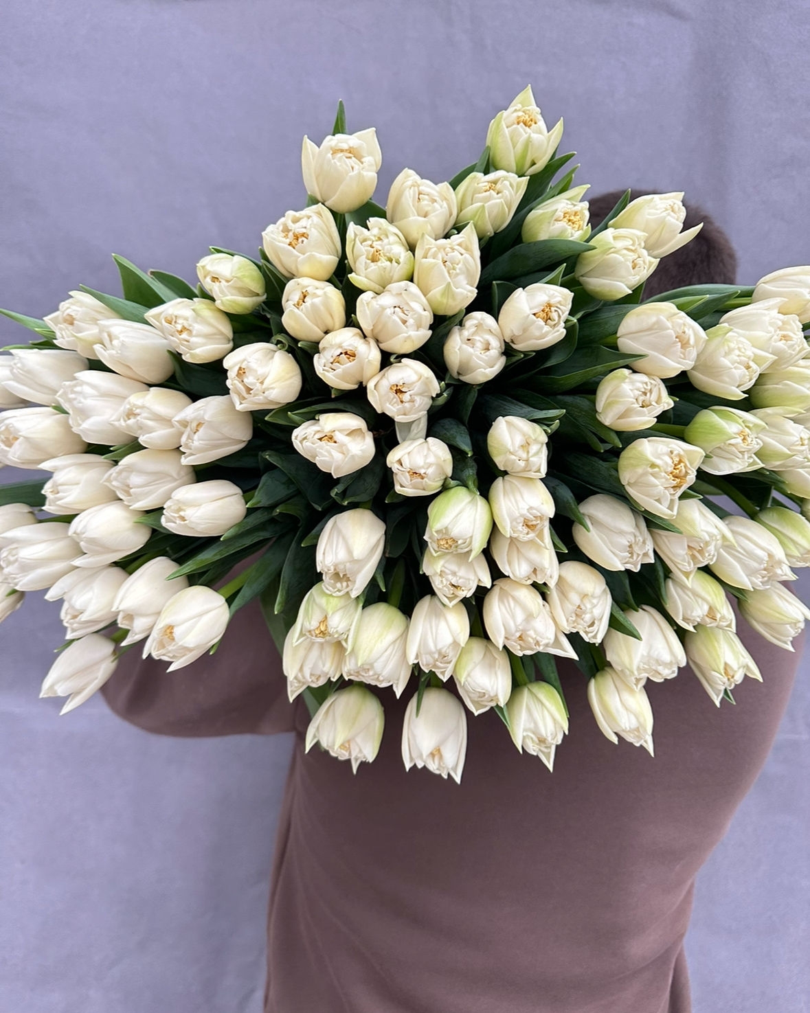 Тюльпаны пионовидные Мондиаль