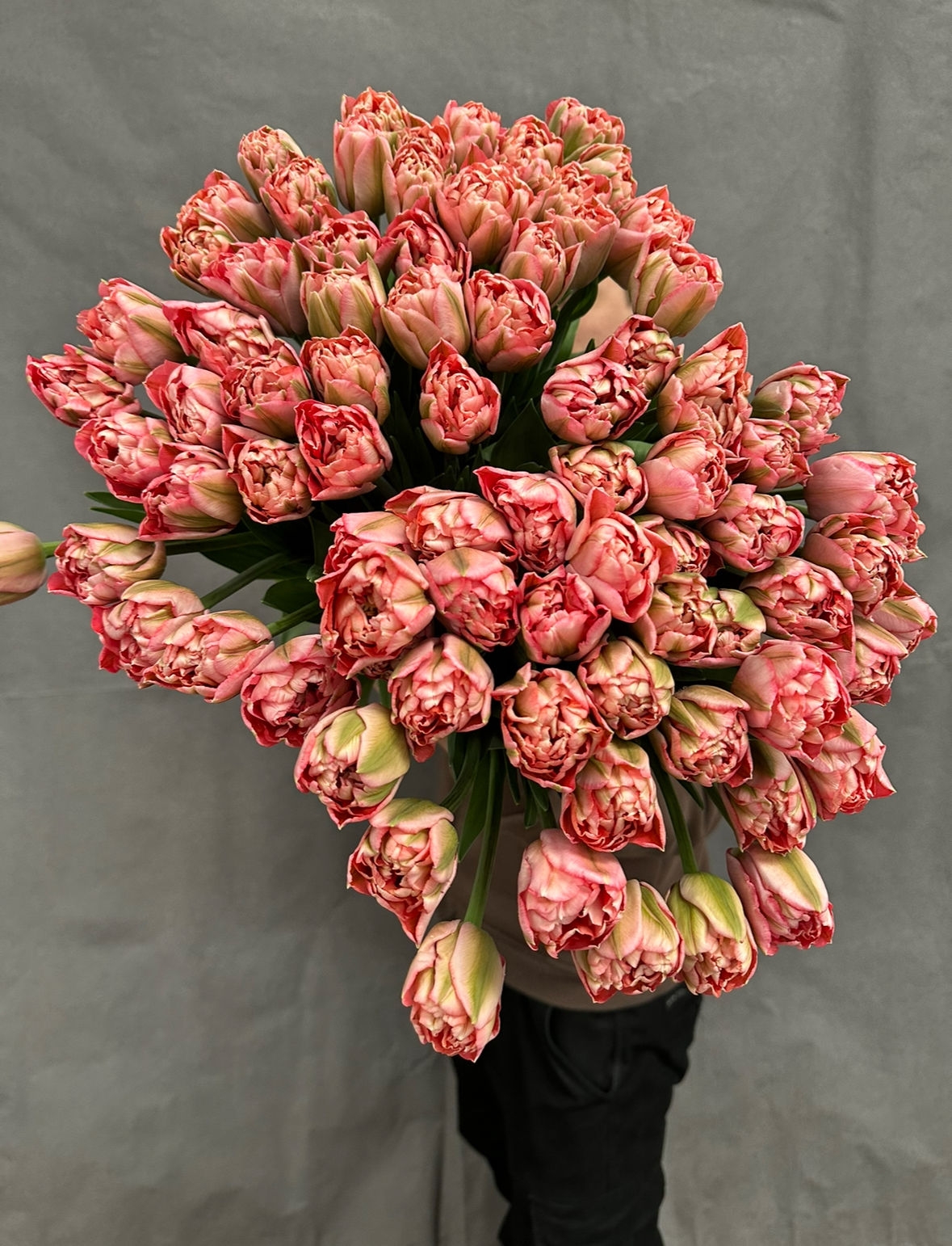 Тюльпаны пионовидные Квинтет Тресфул