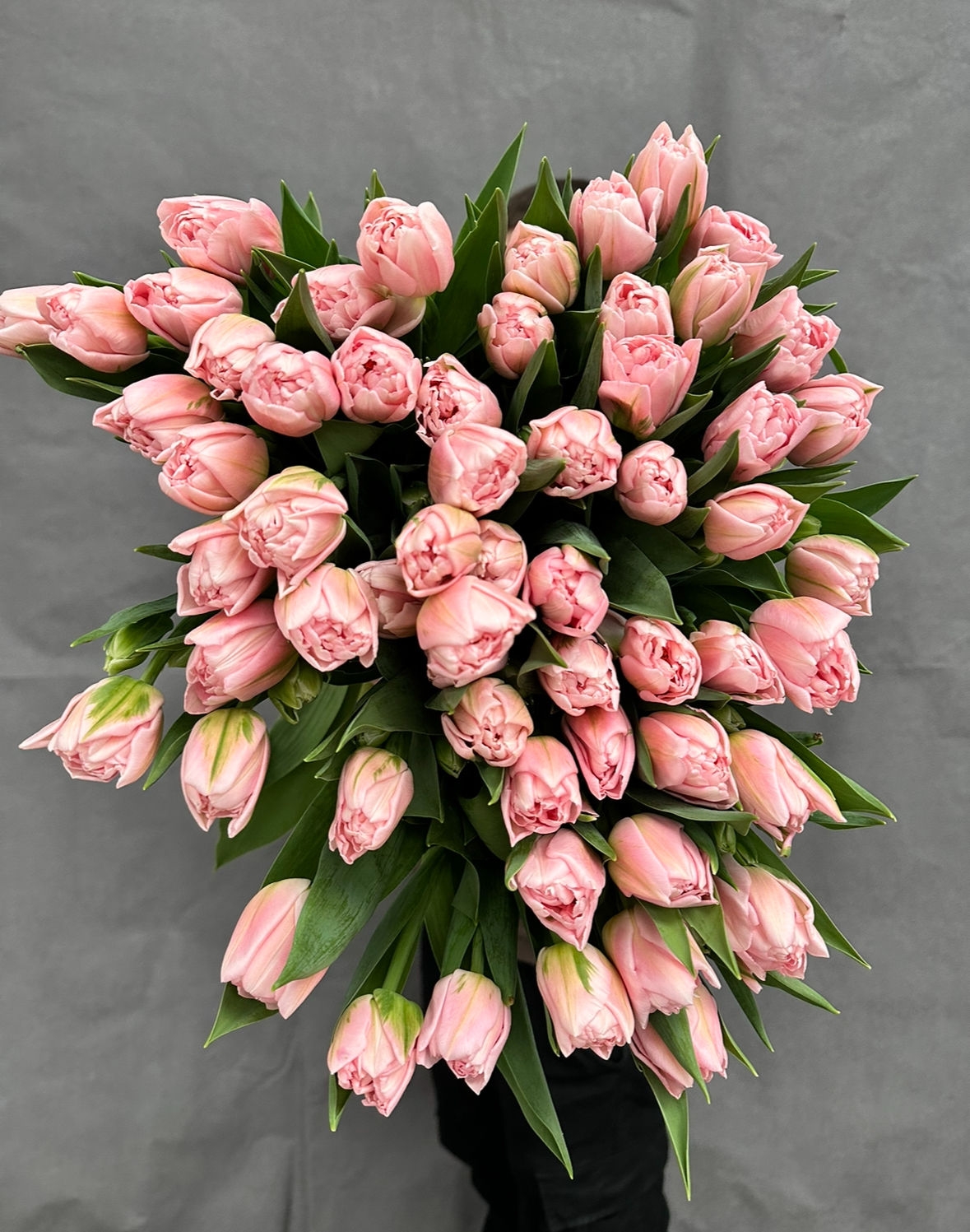 Тюльпаны пионовидные Дример