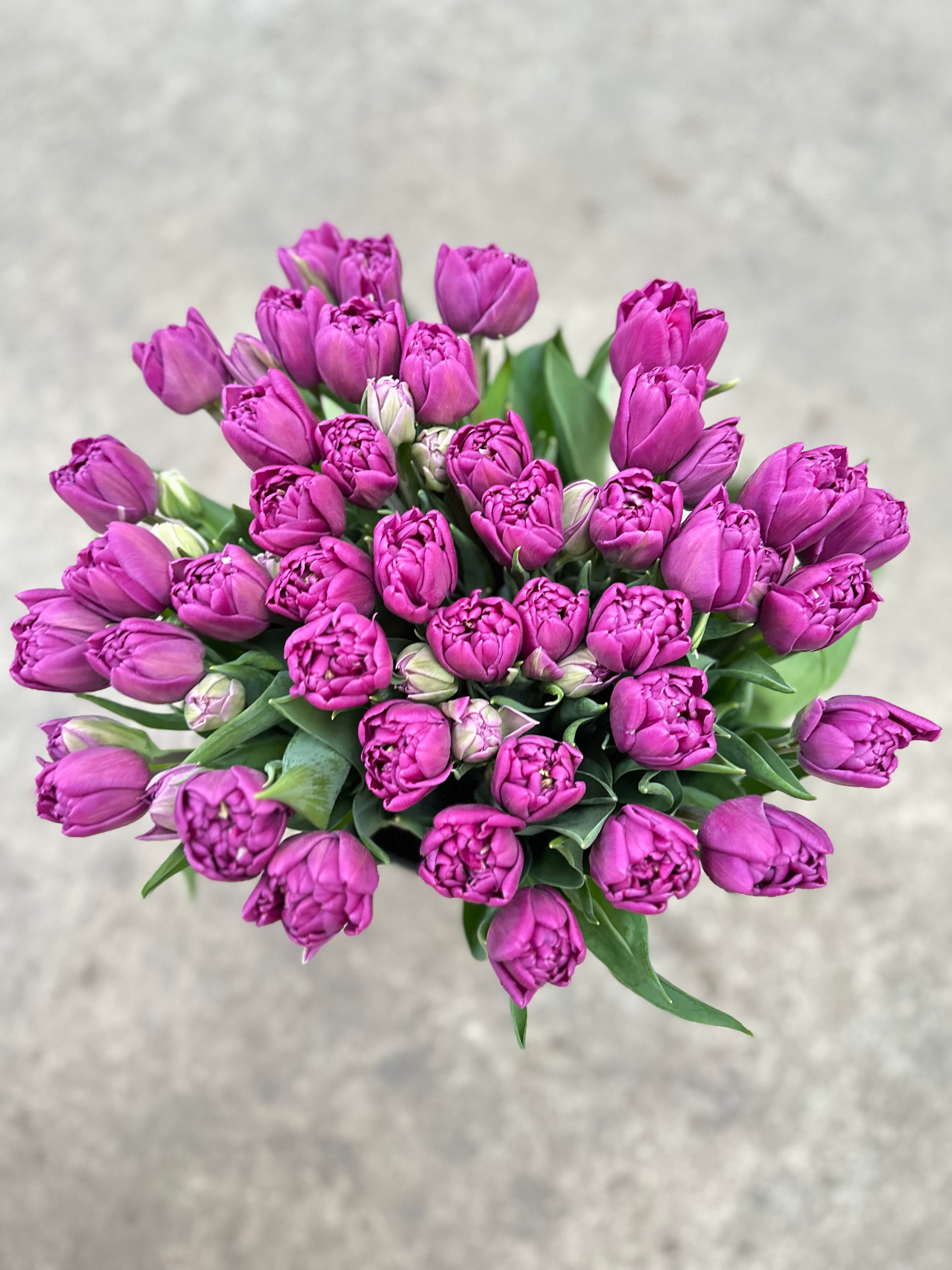 Тюльпаны пионовидные Кастлла