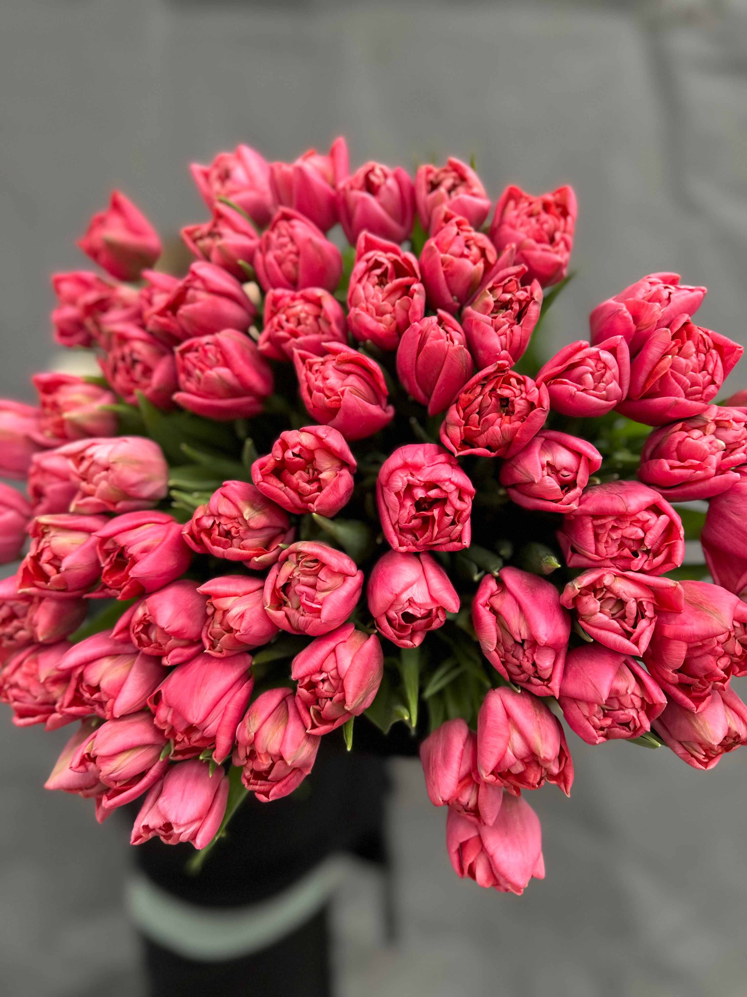 Тюльпаны пионовидные Точстоун