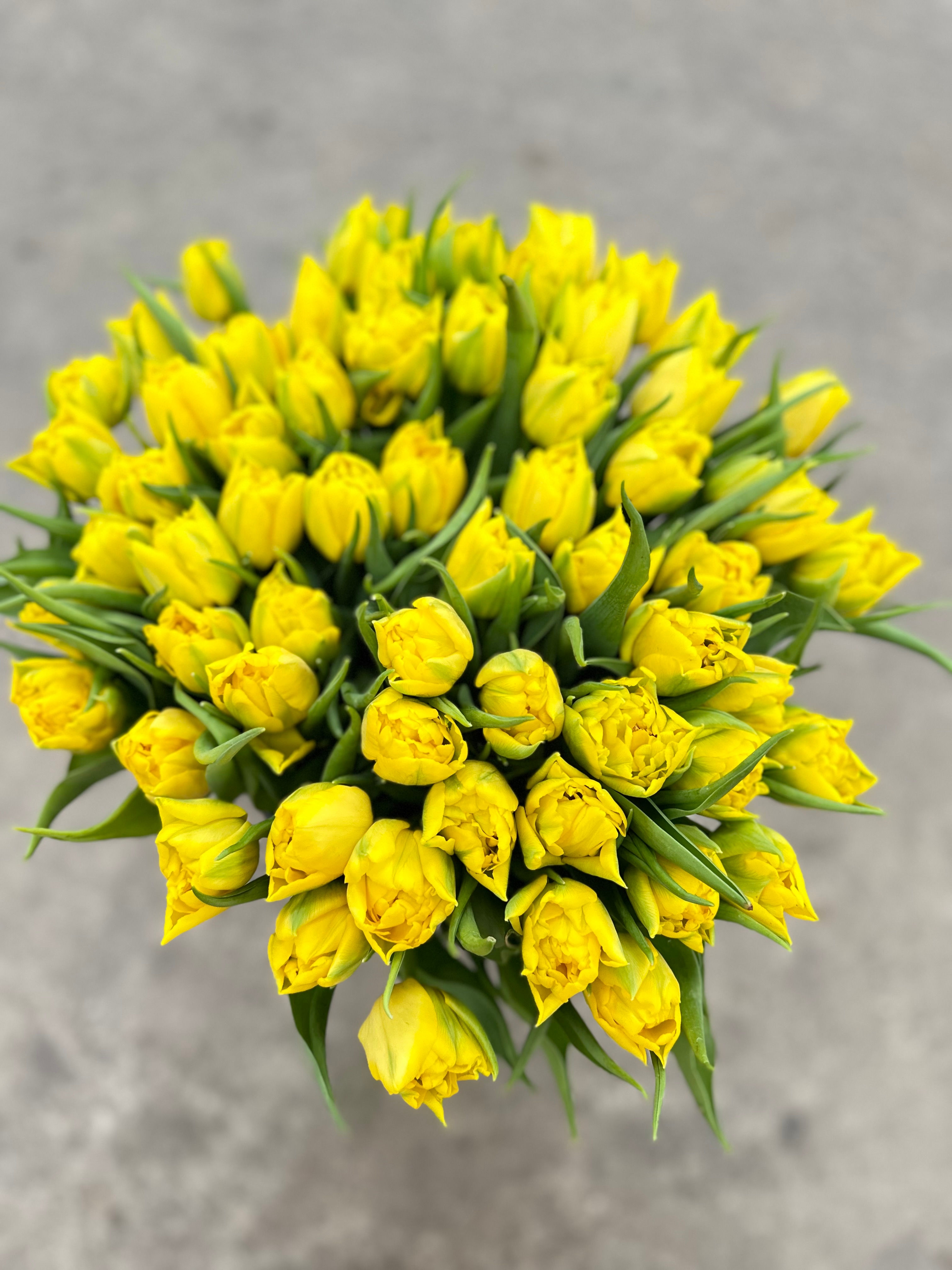 Тюльпаны пионовидные