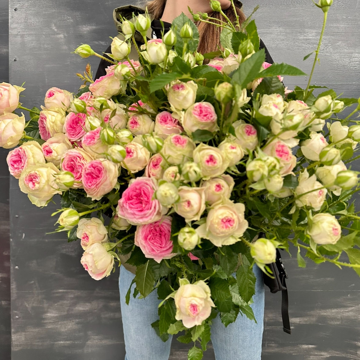 Роза кустовая пионовидная Джилатто