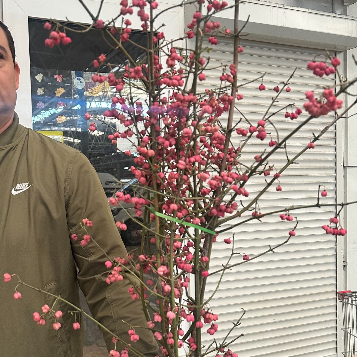 Ветки с розовыми ягодами