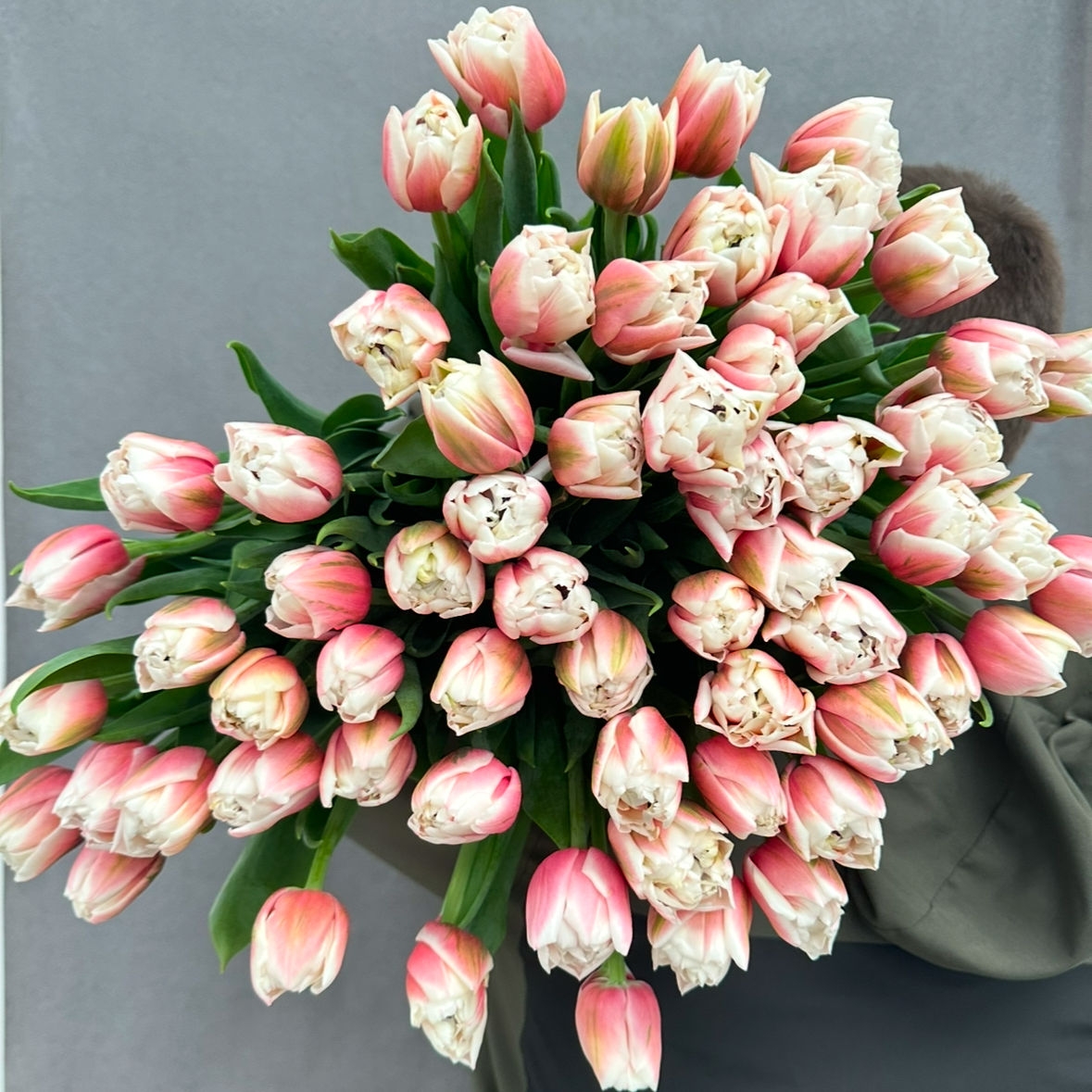 Тюльпаны пионовидные предзаказ Самбука