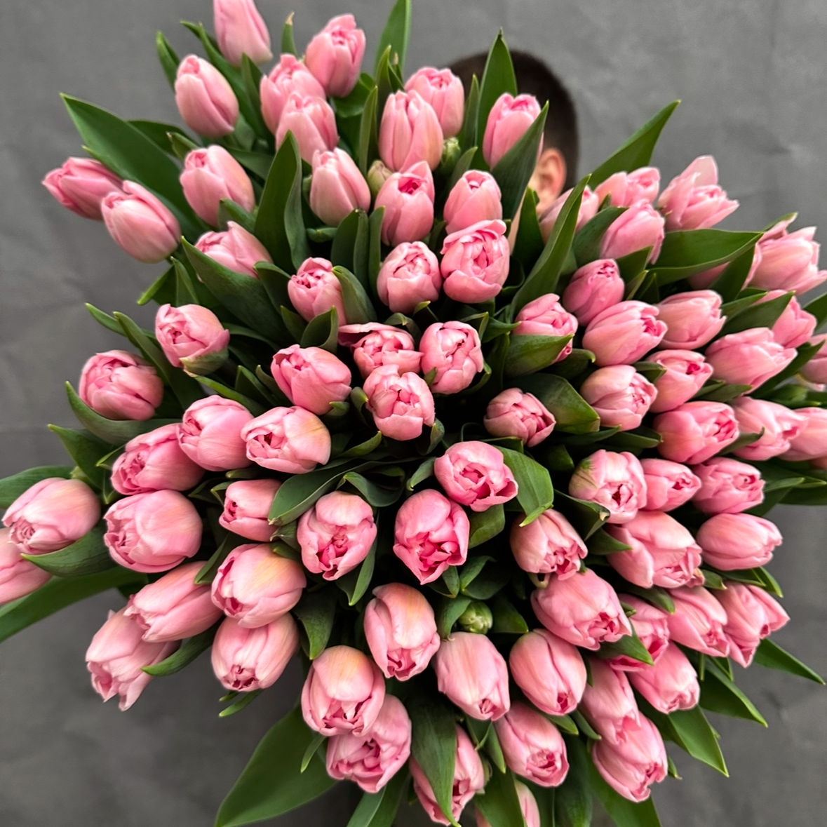 Тюльпаны пионовидные предзаказ