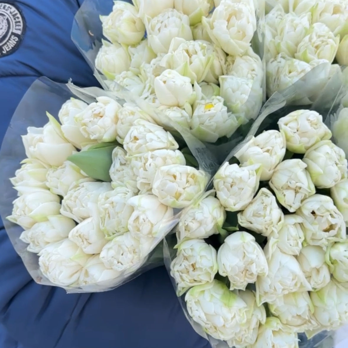 Тюльпаны пионовидные предзаказ